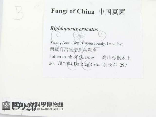 登錄號:F0019920藏品圖，第2張