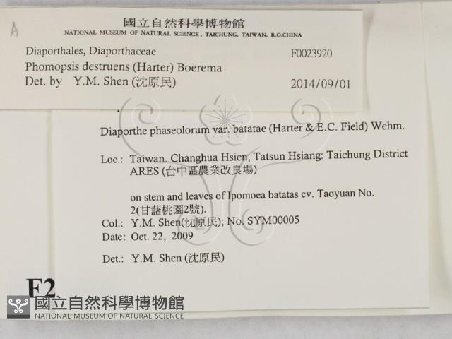 登錄號:F0023920藏品圖，第2張