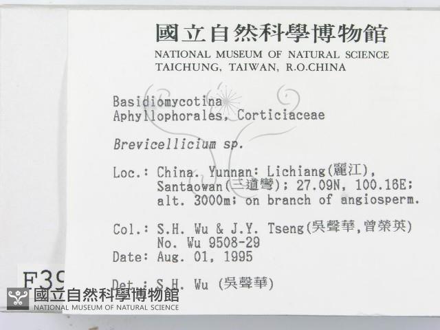 登錄號:F0003920藏品圖，第2張