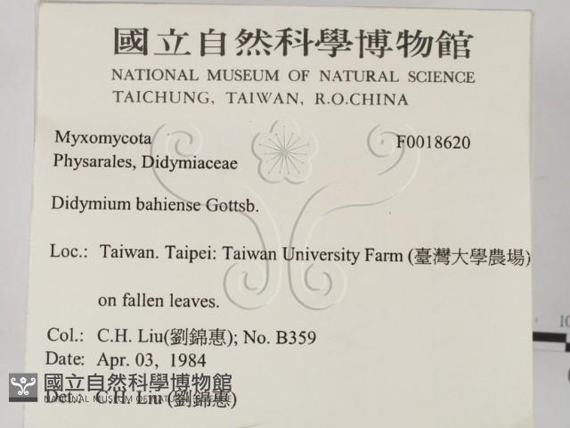 登錄號:F0018620藏品圖，第2張