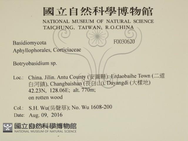 登錄號:F0030620藏品圖，第2張