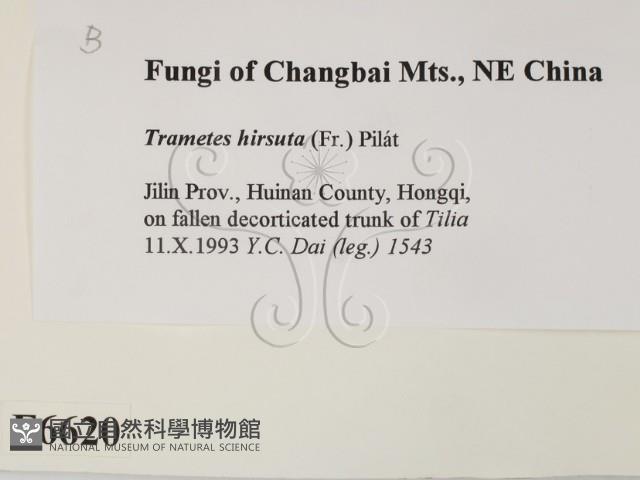 登錄號:F0006620藏品圖，第2張