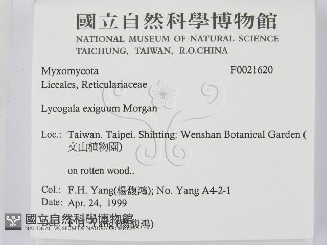 登錄號:F0021620藏品圖，第2張