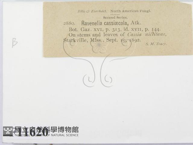 登錄號:F0011620藏品圖，第2張