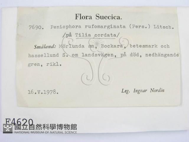 登錄號:F0004620藏品圖，第2張