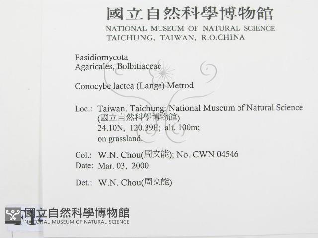 登錄號:F0014620藏品圖，第2張