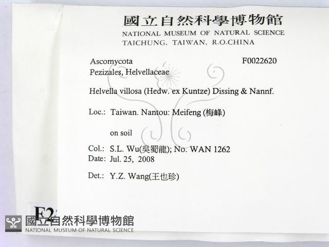 登錄號:F0022620藏品圖，第2張