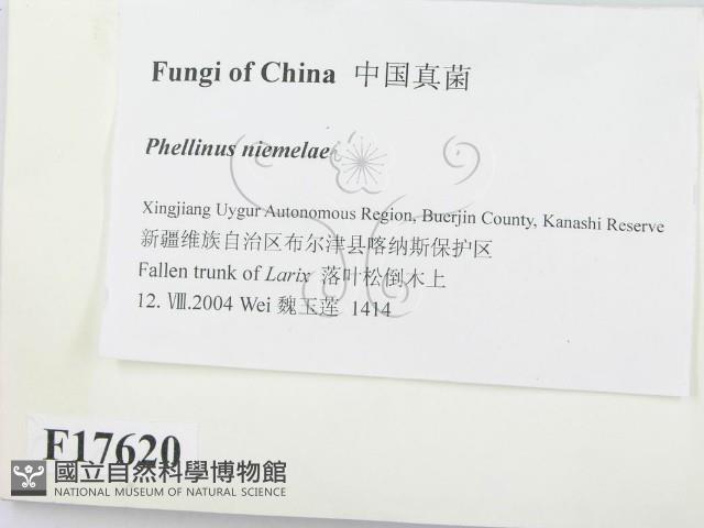 登錄號:F0017620藏品圖，第2張