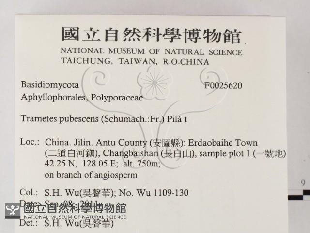 登錄號:F0025620藏品圖，第2張