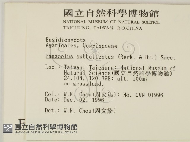 登錄號:F0005620藏品圖，第2張