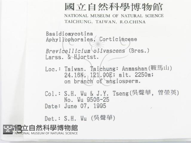 登錄號:F0003620藏品圖，第2張