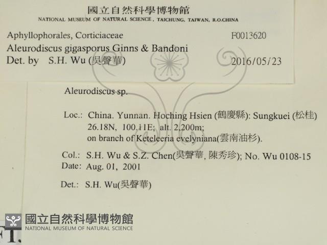 登錄號:F0013620藏品圖，第2張