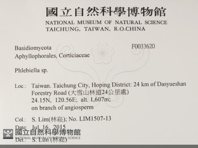 登錄號:F0033620藏品圖，第2張