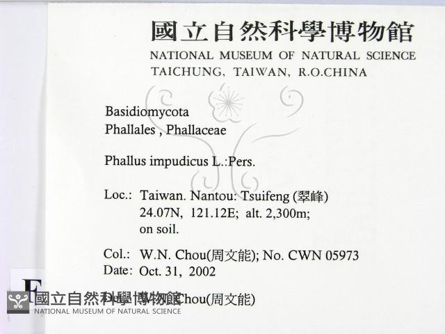 登錄號:F0016420藏品圖，第2張