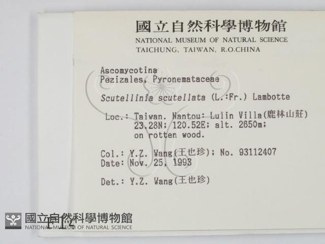 登錄號:F0001420藏品圖，第2張