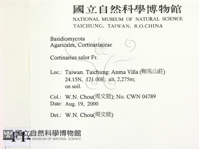 登錄號:F0014420藏品圖，第2張