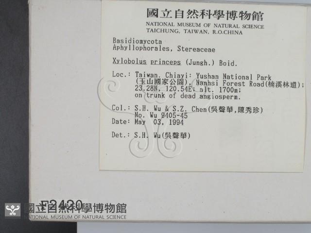 登錄號:F0002420藏品圖，第2張