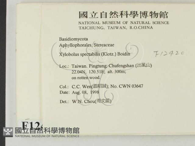 登錄號:F0012420藏品圖，第2張