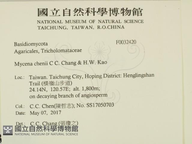 登錄號:F0032420藏品圖，第2張