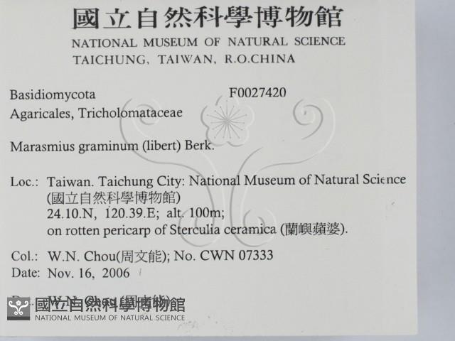 登錄號:F0027420藏品圖，第2張
