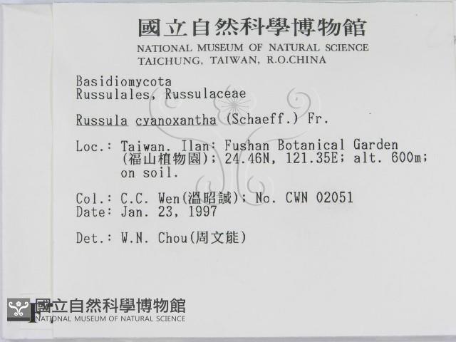 登錄號:F0007420藏品圖，第2張