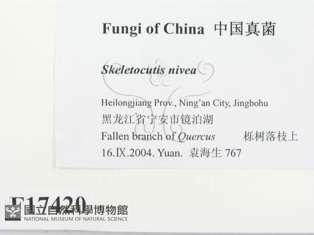 登錄號:F0017420藏品圖，第2張