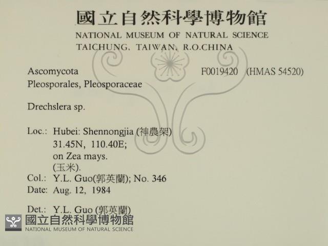 登錄號:F0019420藏品圖，第2張