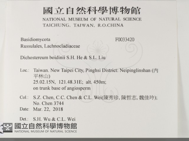 登錄號:F0033420藏品圖，第2張