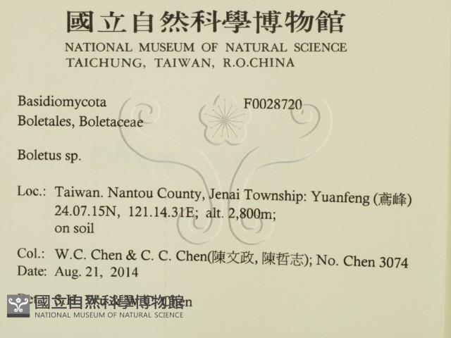 登錄號:F0028720藏品圖，第2張