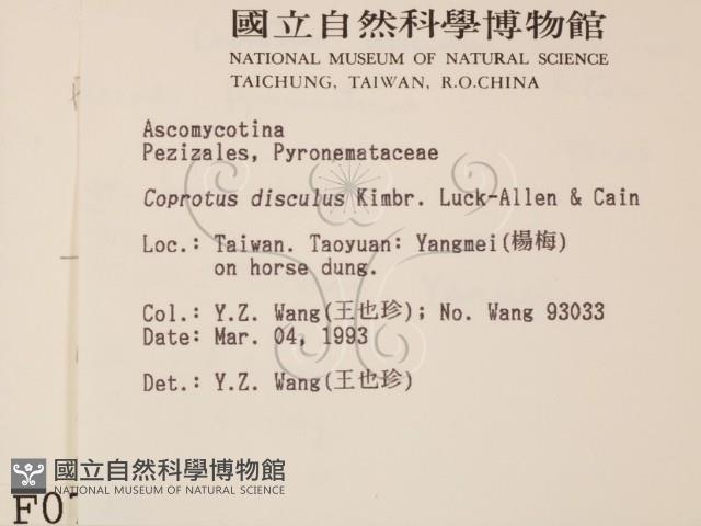 登錄號:F0000720藏品圖，第2張