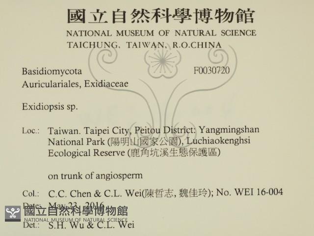 登錄號:F0030720藏品圖，第2張