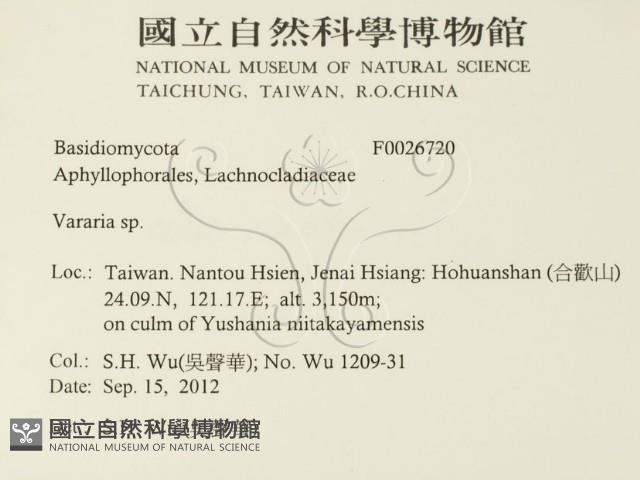 登錄號:F0026720藏品圖，第2張