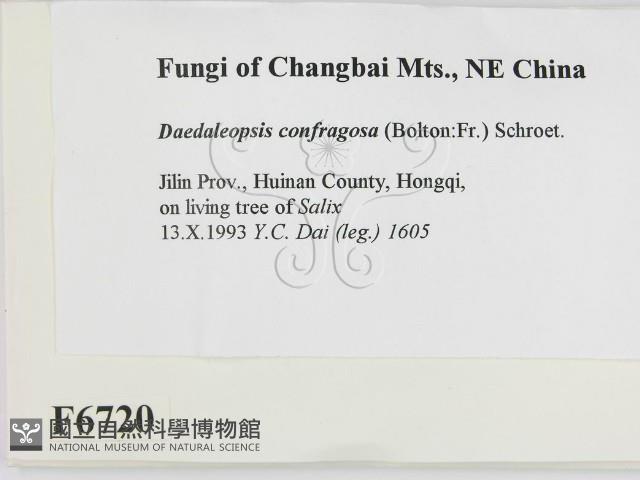 登錄號:F0006720藏品圖，第2張