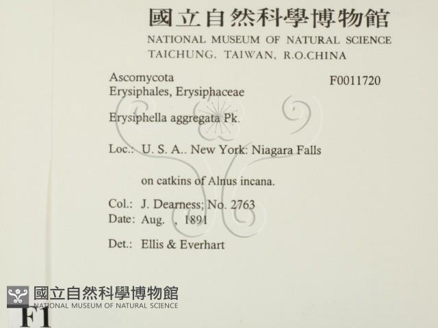 登錄號:F0011720藏品圖，第2張
