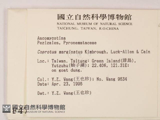 登錄號:F0004720藏品圖，第2張