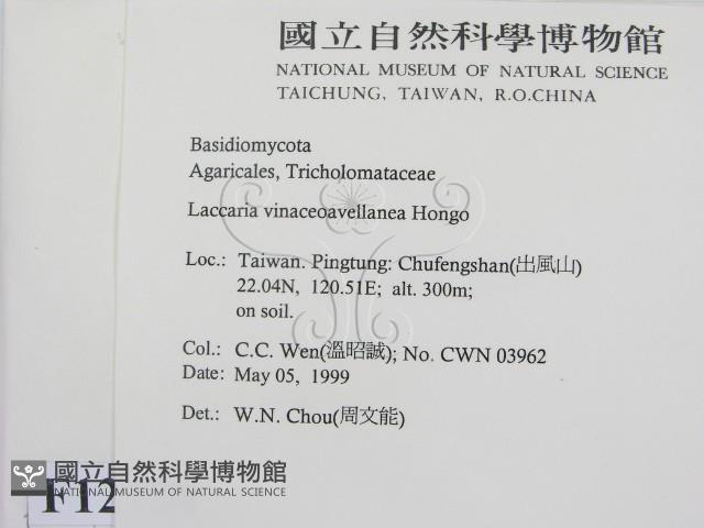 登錄號:F0012720藏品圖，第2張