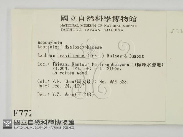 登錄號:F0007720藏品圖，第2張