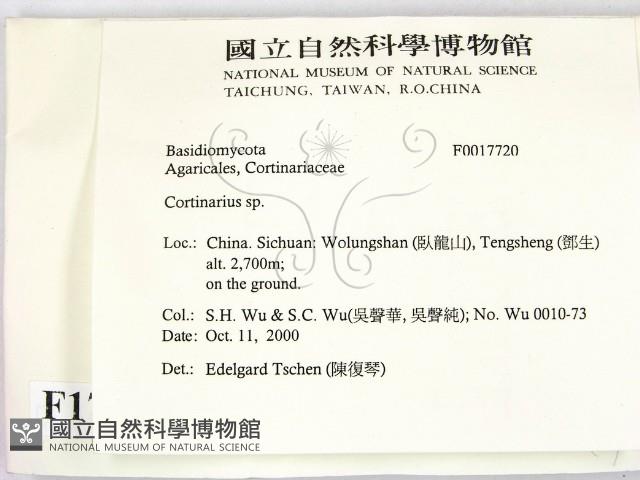 登錄號:F0017720藏品圖，第2張
