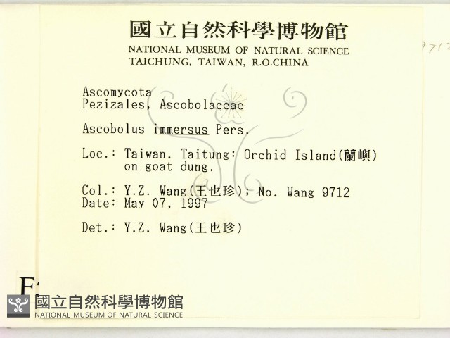 登錄號:F0005720藏品圖，第2張