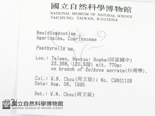 登錄號:F0003720藏品圖，第2張