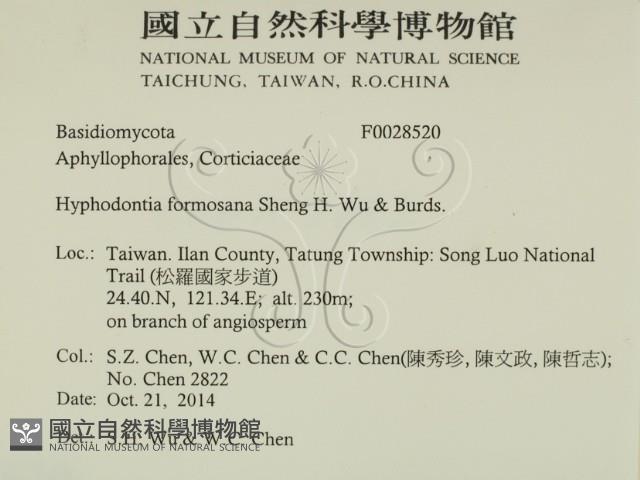 登錄號:F0028520藏品圖，第2張