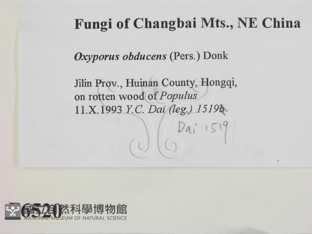 登錄號:F0006520藏品圖，第2張