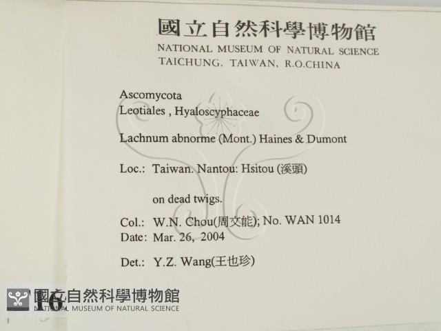 登錄號:F0016520藏品圖，第2張