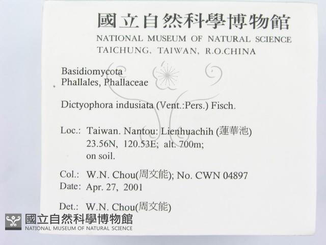 Accession Number:F0014520 Collection Image, Figure 2, Total 3 Figures