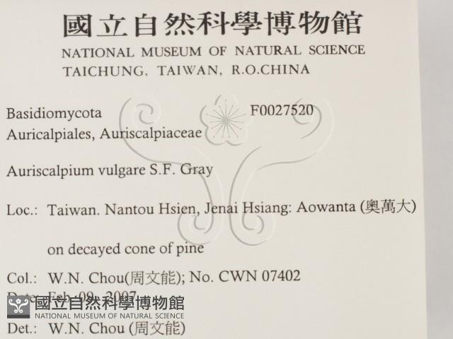 登錄號:F0027520藏品圖，第2張