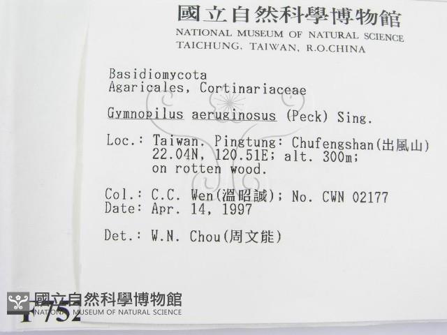 登錄號:F0007520藏品圖，第2張