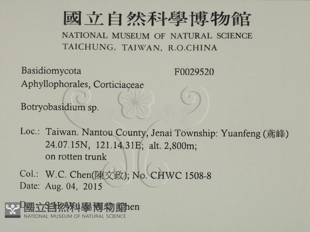 串擔革菌屬藏品圖，第2張