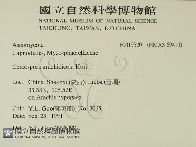 登錄號:F0019520藏品圖，第2張