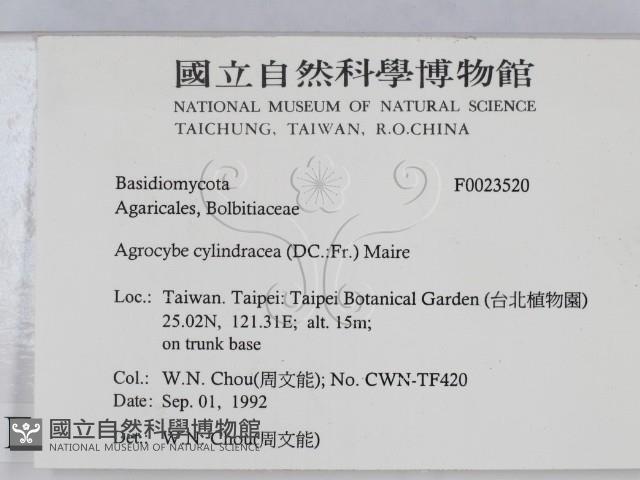 登錄號:F0023520藏品圖，第2張