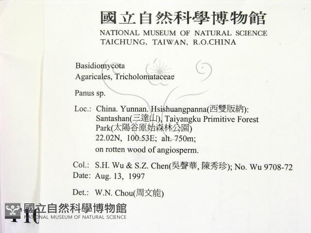 登錄號:F0010120藏品圖，第2張